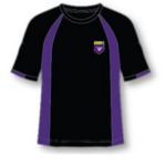 Harris Girls' Academy Bromley P.E T Shirt with Logo