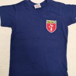 HARRIS PRIMARY ACADEMY BECKENHAM P.E T SHIRT