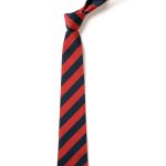 HARRIS PRIMARY ACADEMY KENT HOUSE TIE