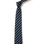 St Michael's Tie